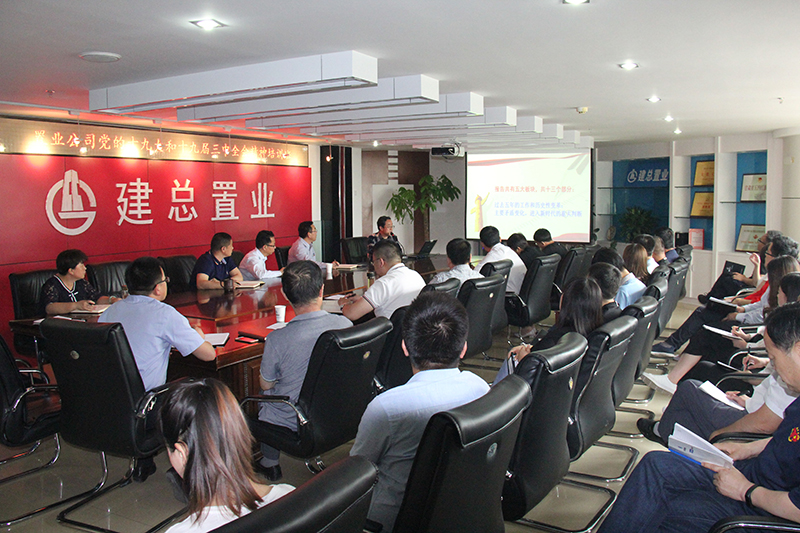 公司舉辦學(xué)習(xí)黨的十九大和十九屆三中全會精神培訓(xùn)班