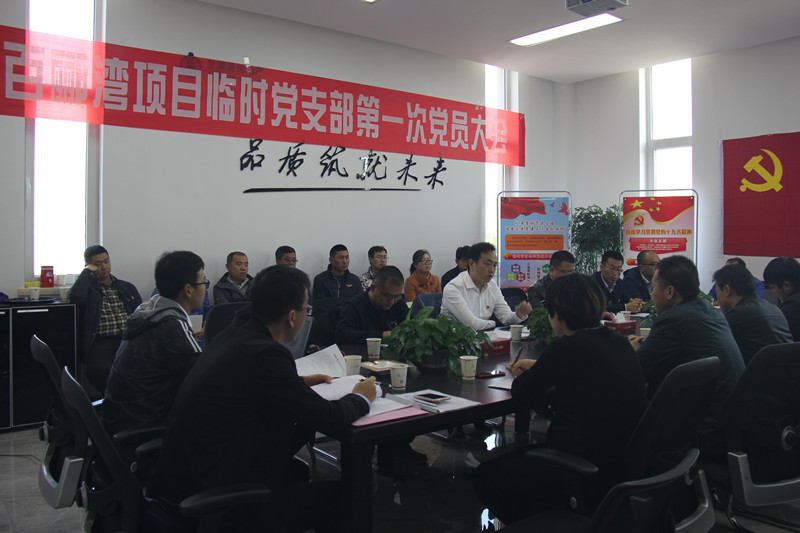 把支部建在項目 把堡壘筑在前沿 --置業(yè)公司百酈灣項目成立臨時黨支部